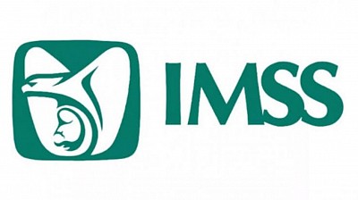 Logo imss